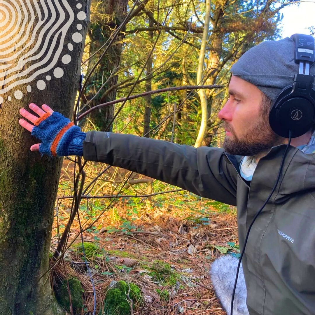 Voices That Made A Wood Cover