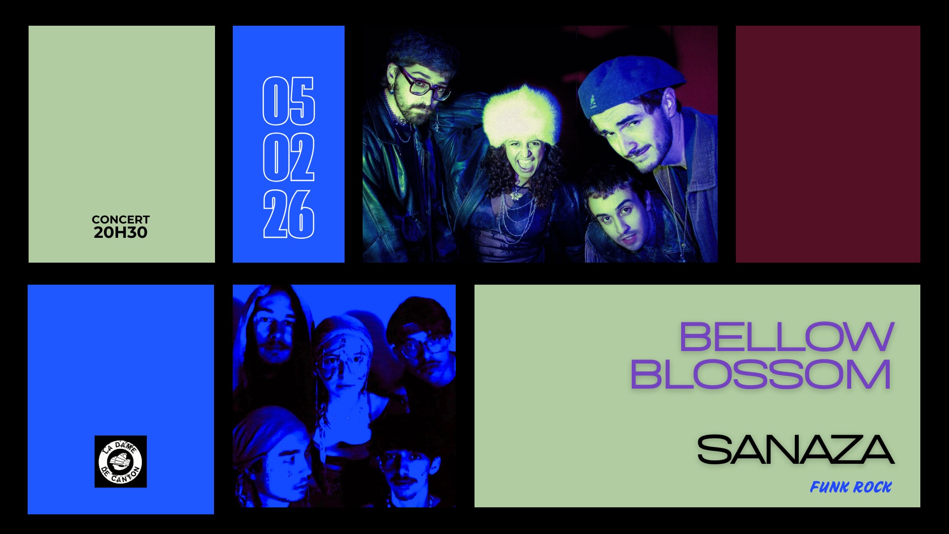 Bellow Blossom X Sanaza Cover