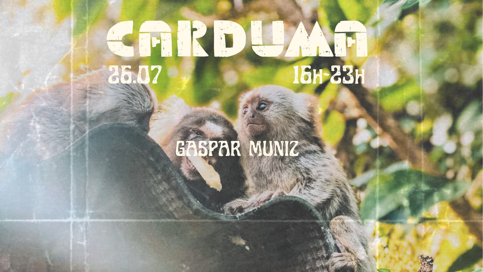 Carduma | Brisa Tropikal Cover