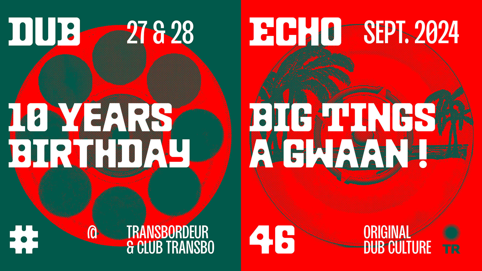 Dub Echo 10 Years Birthday #1 Cover