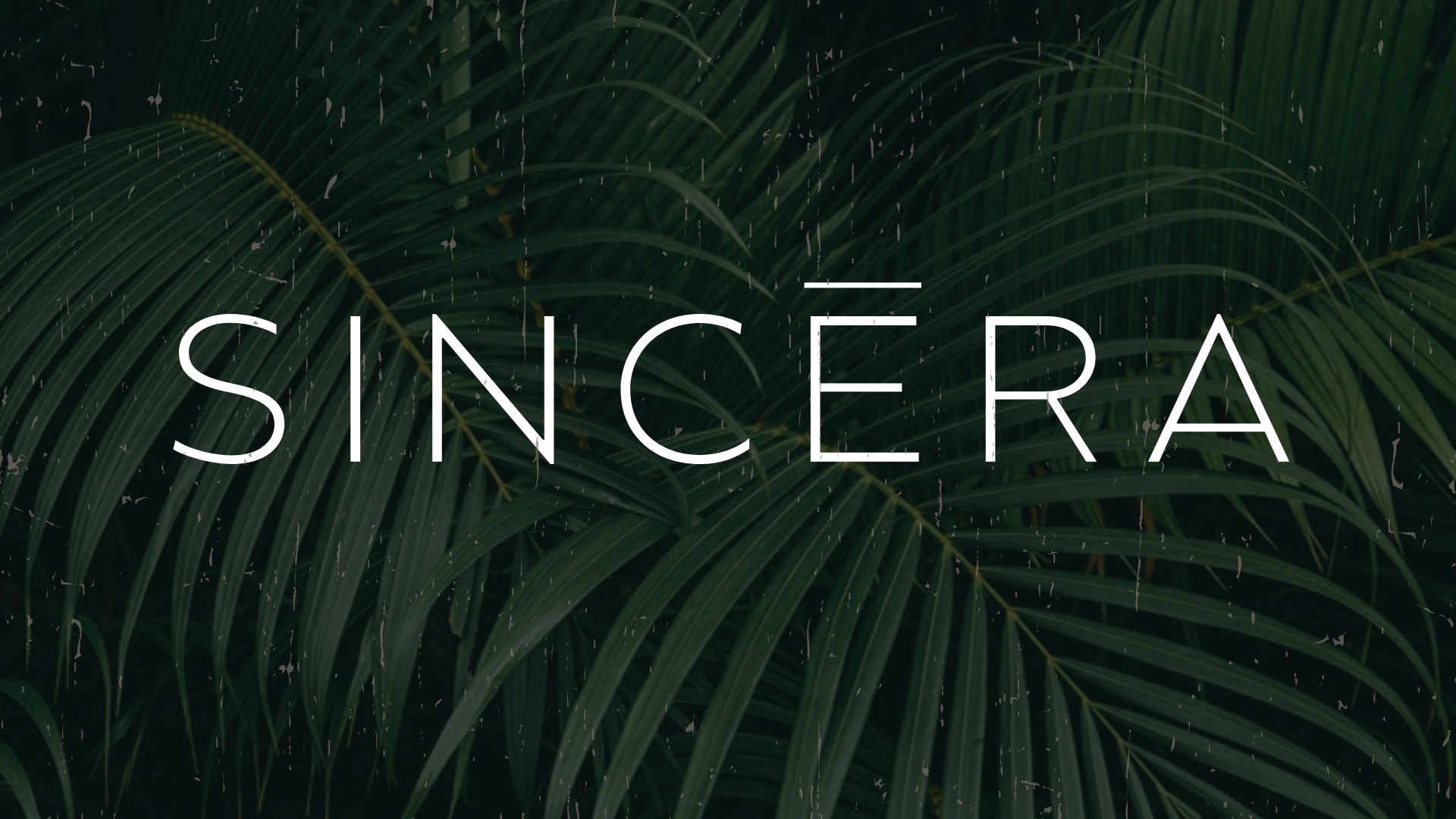 Sincera X Saphir & Oren Cover