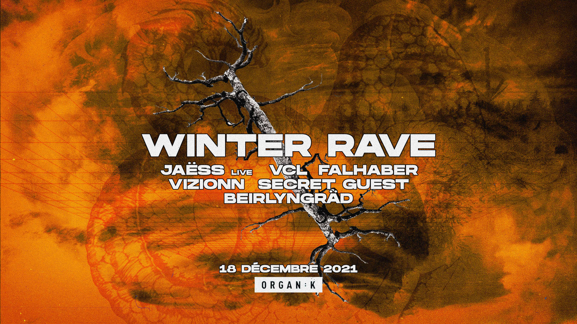Organïk : Winter Rave Cover