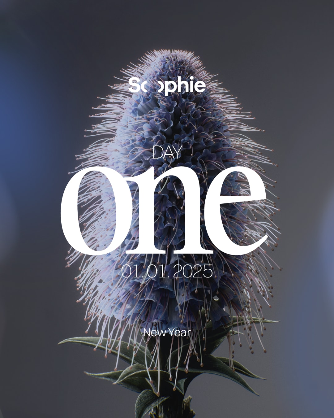 Sophie Festival Day One - Luciano (Extended Set) Cover