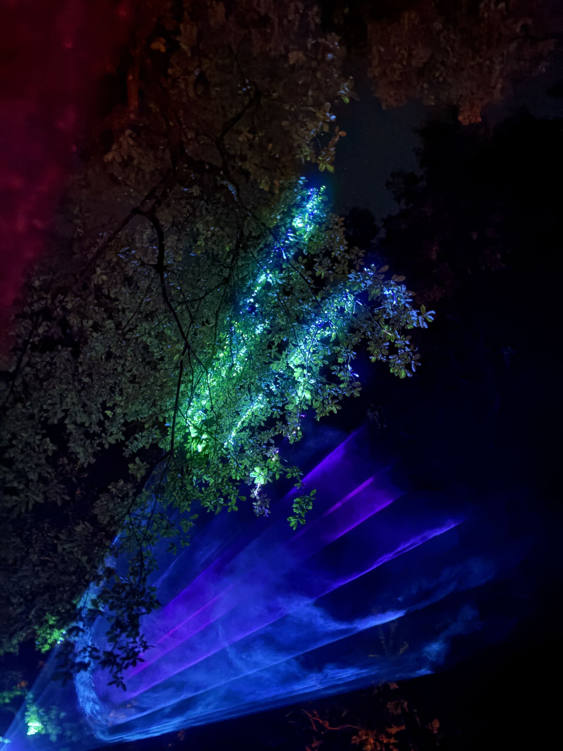 Viatica Esperit Festival 2026 Cover