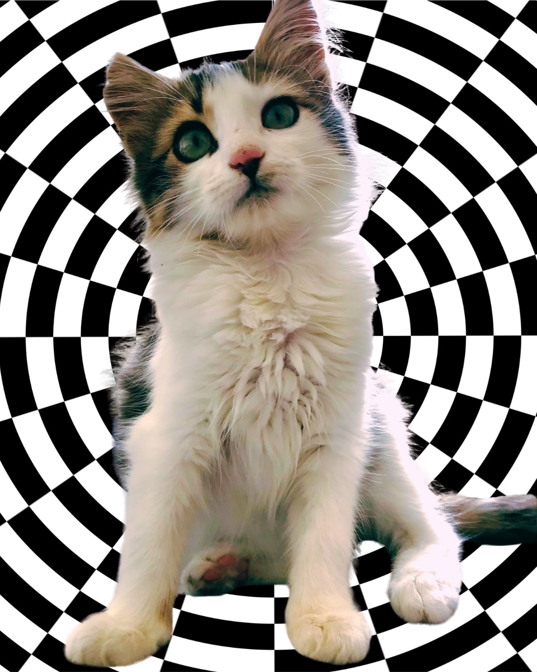 Newyear2026 | Ça Va Faire Boum Boum ! Tu Viens ? Cover