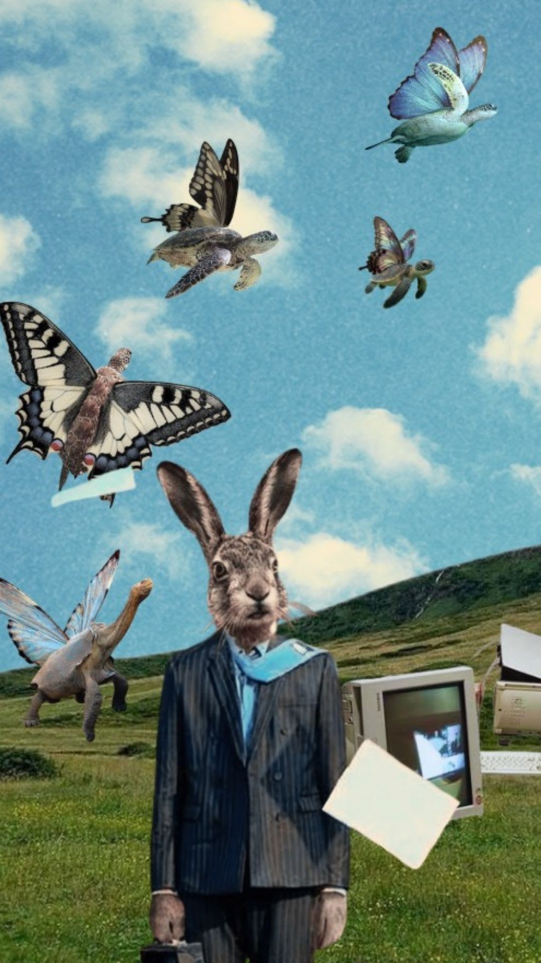 La Nièvre Et La Tortue Festival - 22,23,24,25 Mai 2026 Cover