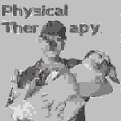 Physical Therapy