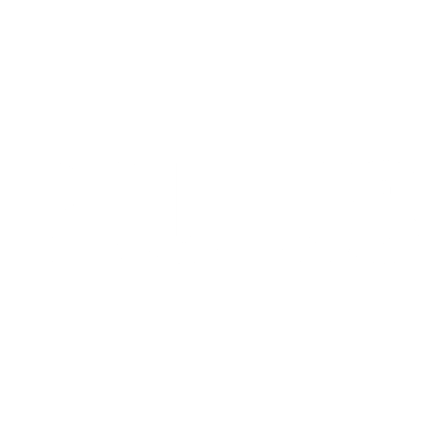 Brutus - 01/01/2022