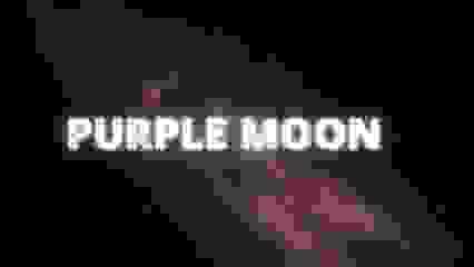 PurplePartyMoon