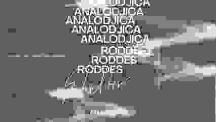 SHELTER: Roddes | Analodjica - Art Haus Club