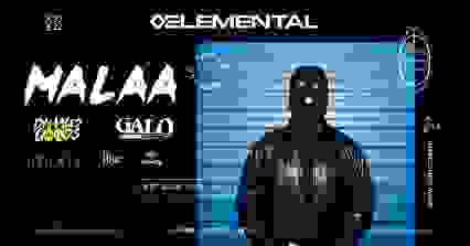 MALAA at ELEMENTAL (Art Basel Miami 2022)