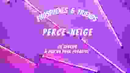 Phosphenes & Friends #3 : Perce-neige