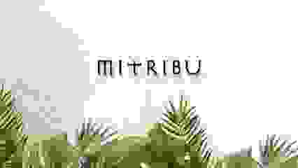 mitribu