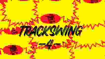 SALSEIRO TRACKSWING 4