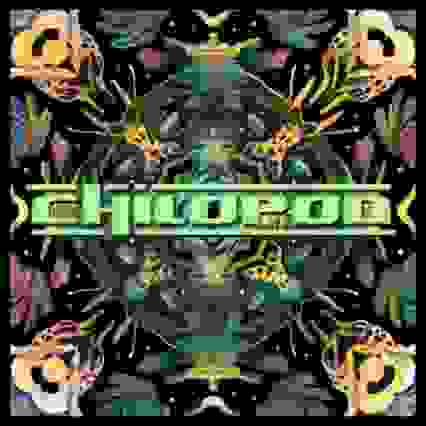 Chilopod