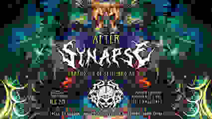 AFTER SYNAPSE