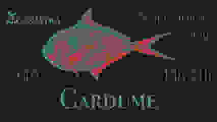 Cardume