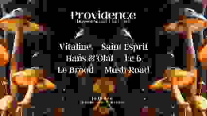 Providence invite Vitaline 15/12