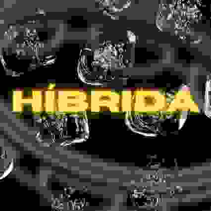 HÍBRIDA 002 — Edição Especial "QUEM SAMBA PRIMEIRO" 16/12