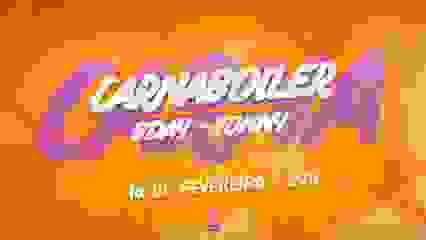 CarnaBoiler