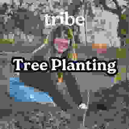 Regenerative Tree Planting