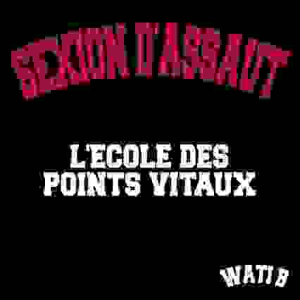 Sexion D'Assaut