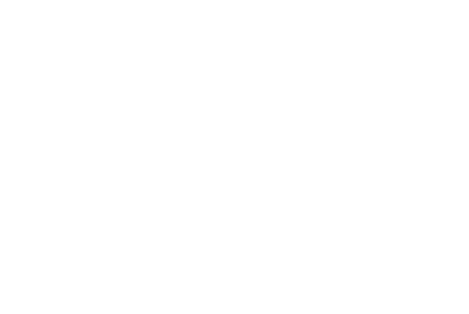 INNR:SLF