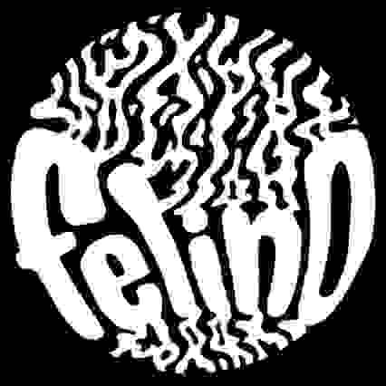 felino