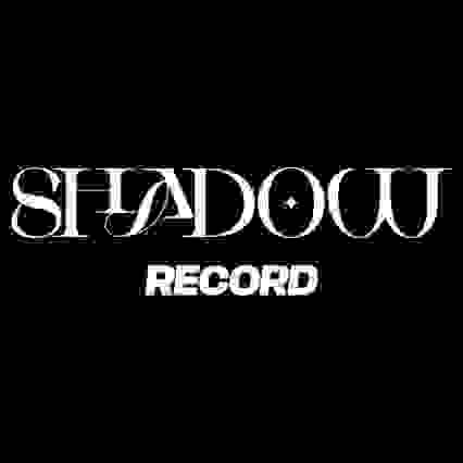 Shadow record