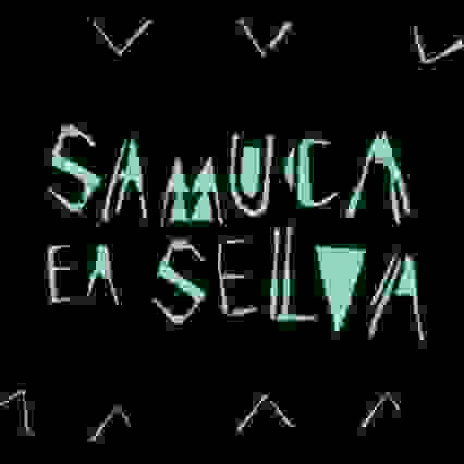 Samuca E A Selva