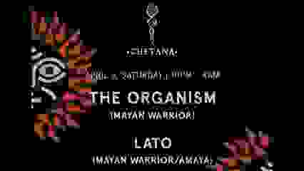 Chetana: The Organism & Lato (Mayan Warrior)