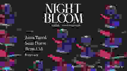 NIGHT BLOOM