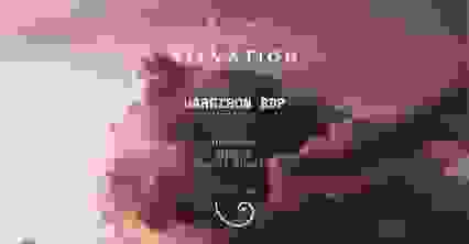 ELEVATION presents Harrison BDP