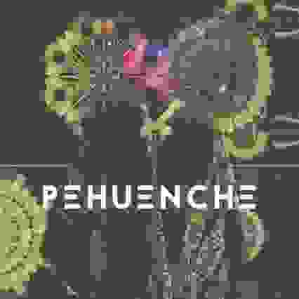 Pehuenche