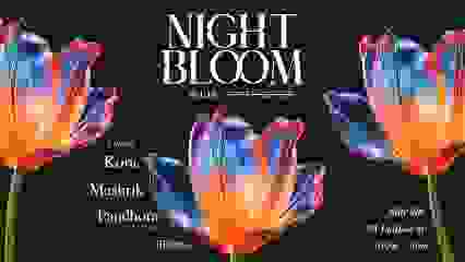 Night Bloom