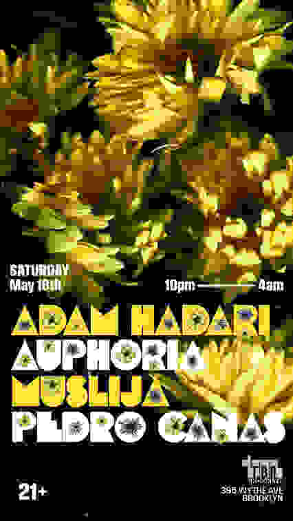 Midtown House NYC: Adam Hadari, Auphoria,Muslija,Pedro Cañas