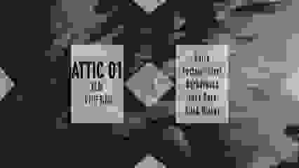 Attic 01
