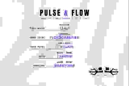 Pulse & Flow