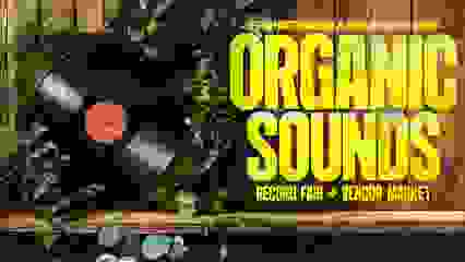 Organic Sounds: Record Fair + Vendor Market