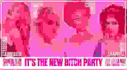 It'S New Bitch Party