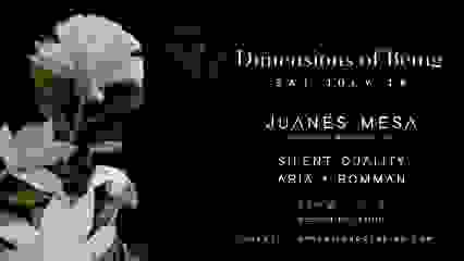 Dimensions of Being w/ Juanes Mesa, Silent Duality, Aria & Romman