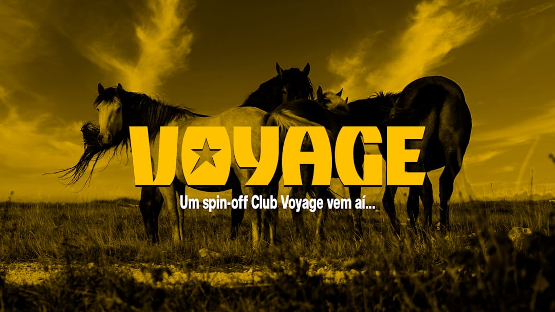 ***** VOYAGE 2.5