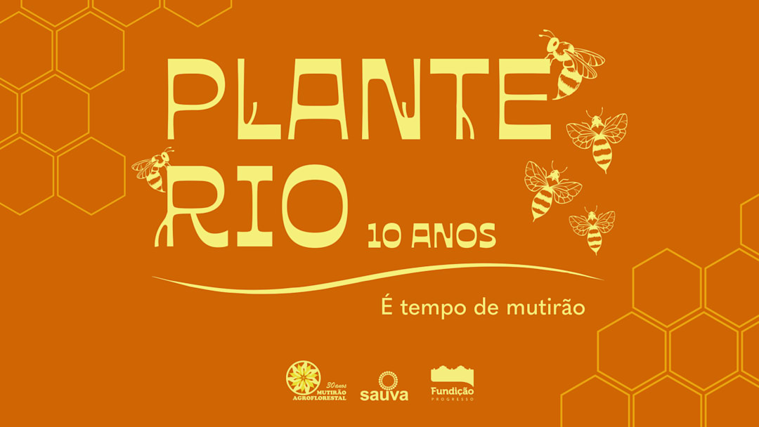 PLANTE RIO 10 ANOS NA FUNDIÇÃO