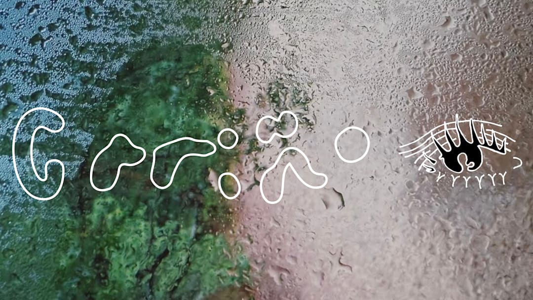 Cariño Primeiro Ato