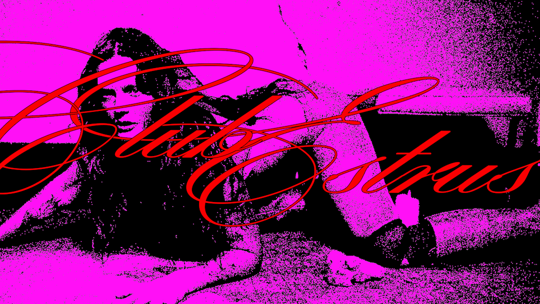 XCLUB ESTRUS ED.