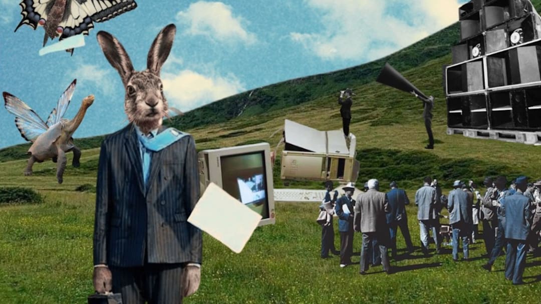 La Nièvre et la Tortue Festival - 22,23,24,25 Mai 2026