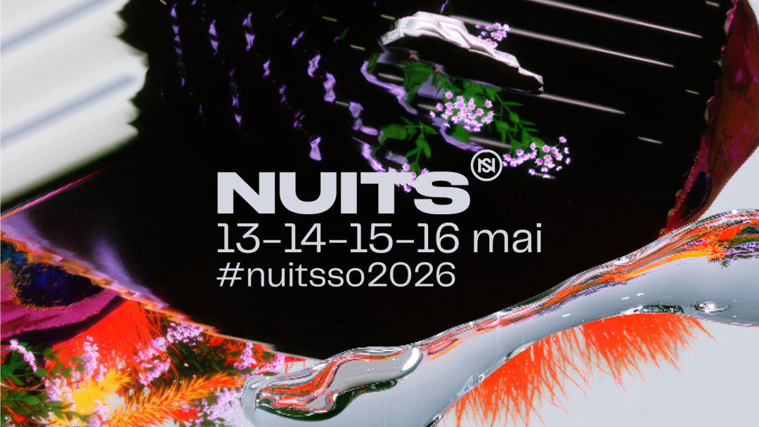 Nuits sonores : NUITS