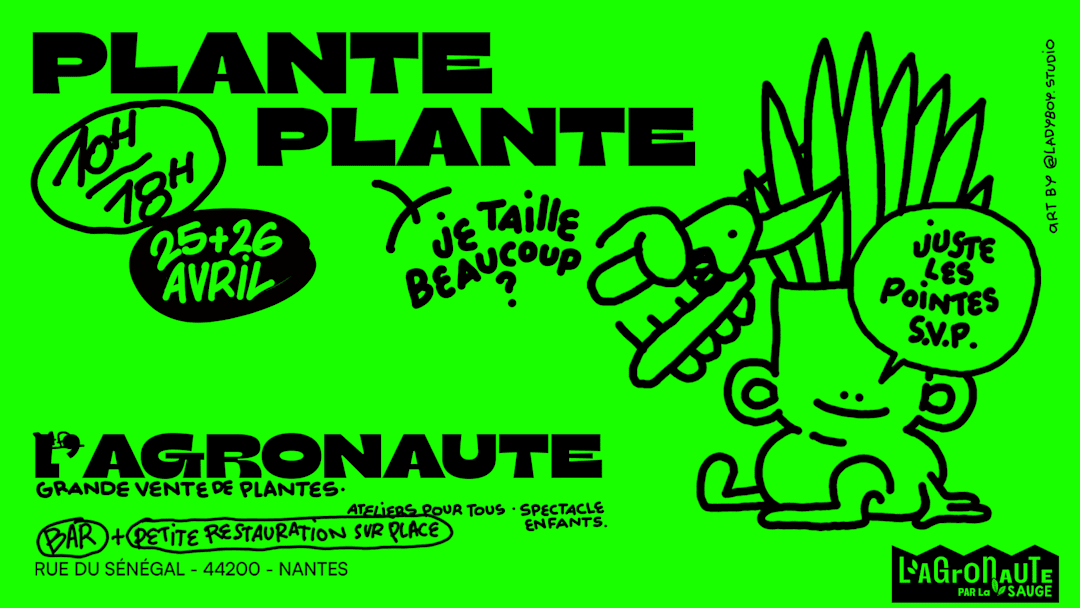 PLANTE PLANTE - Le Lombric Fourchu