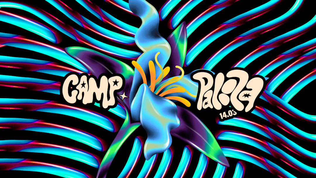 BAILE CAMP | CAMP PALOOZA