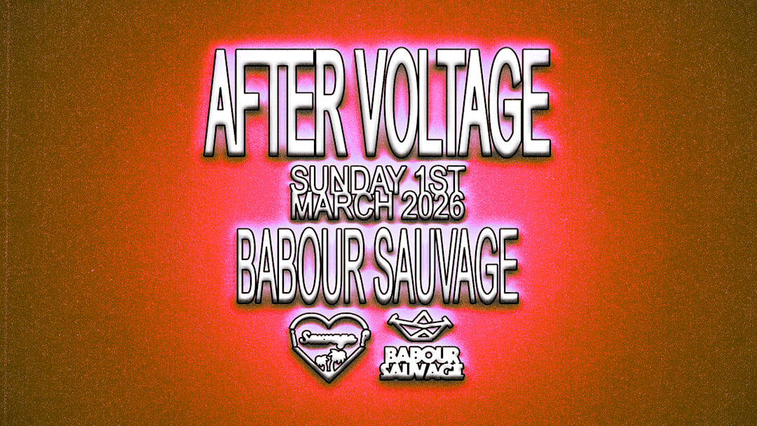 ¡After VOLTAGE : Camion Bazar curates #2?